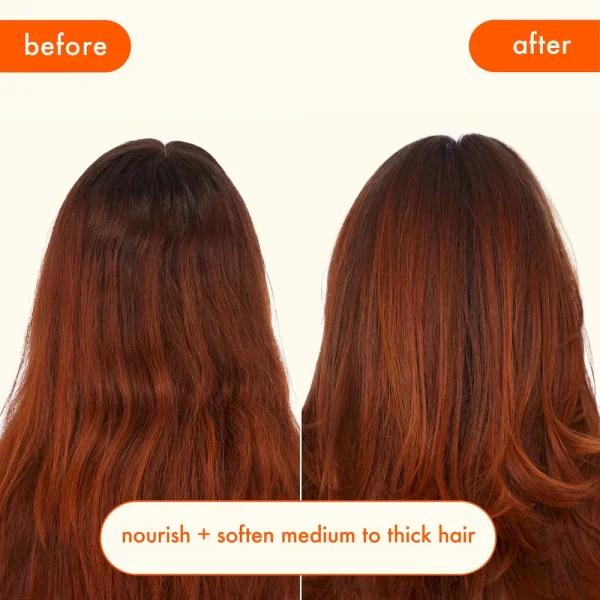 normcore signature conditioner - Image 6