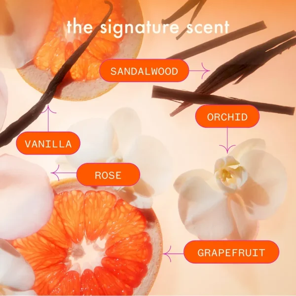 normcore signature conditioner - Image 10